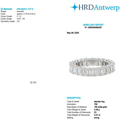 Emerald Shape 0.20 up FG VVS-VS - 18K White Gold Eternity Ring