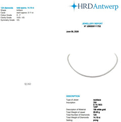 Round Shape 0.11 up EF VVS-VS - 18K White Gold Tennis Necklace
